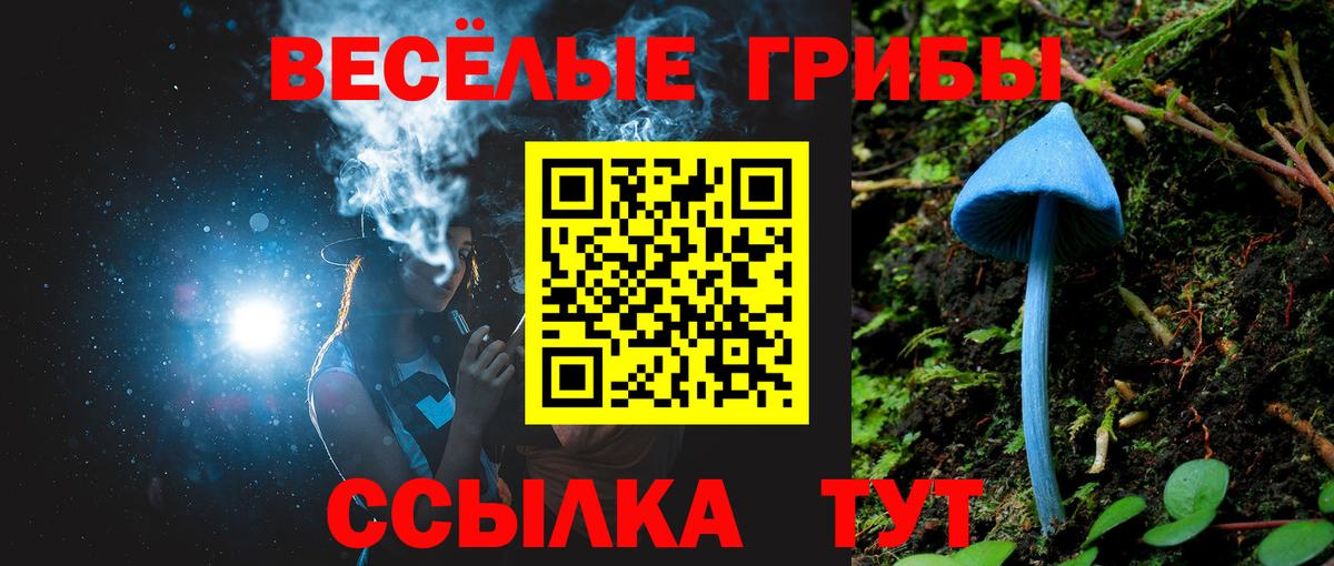 Чебоксары  Галлюциногенные грибы Magic Shrooms  Вход с VPN 